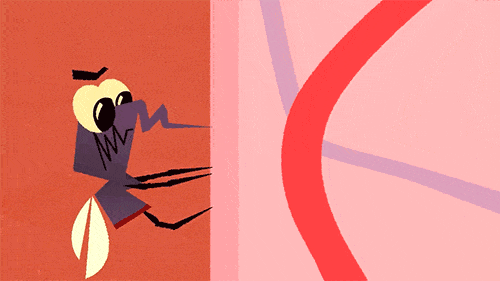 01.gif